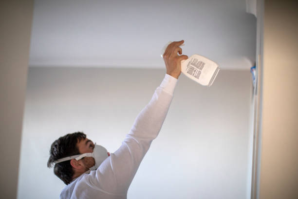Best Office Mold Removal Services  in Western Lake, TX