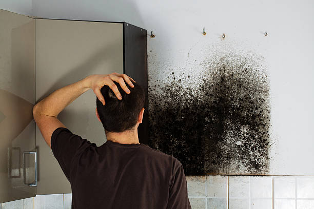 Best Commercial Mold Removal  in Western Lake, TX
